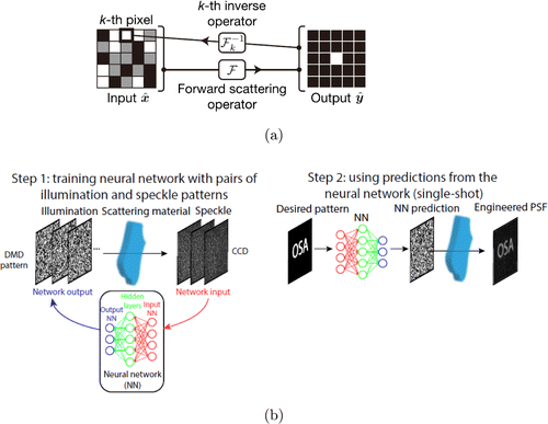 Wavefront shaping: A versatile tool to conquer multiple scattering