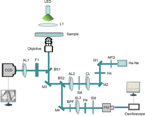 Fig. 2.