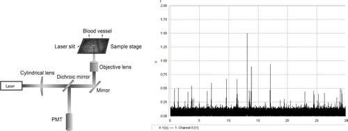 Fig. 3.