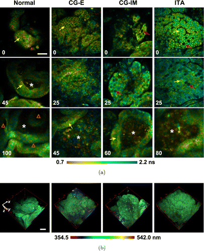 Fig. 7.