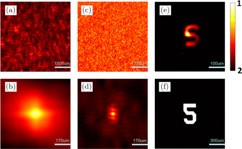 Seeing through dynamics scattering media: Suppressing diffused ...