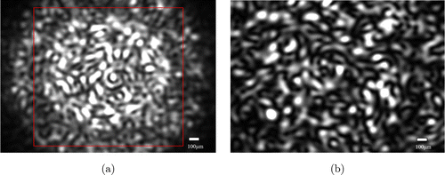 Wavefront shaping: A versatile tool to conquer multiple scattering