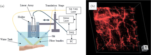 Fig. 4.