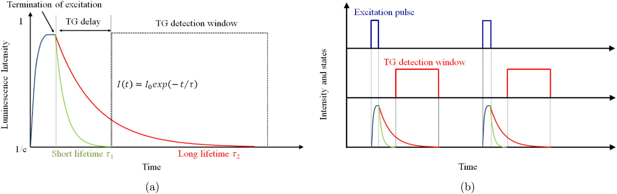 Time-gated fluorescence imaging: Advances in technology and biological ...