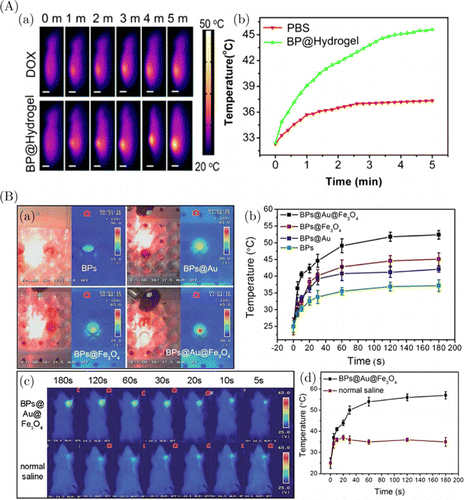 Black Phosphorus As A Versatile Nanoplatform: From Unique Properties To ...