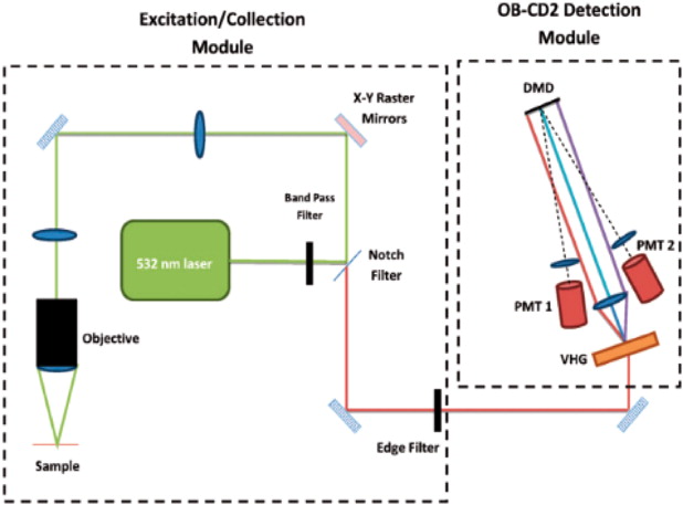 Application Of Digital Micromirror Devices Dmd In Biomedical Instruments Journal Of 1628