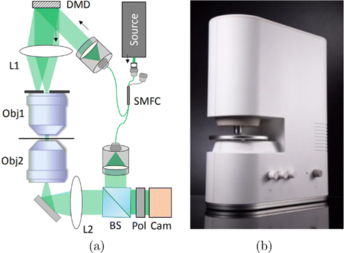 https://www.worldscientific.com/cms/10.1142/S1793545820300116/asset/images/medium/s1793545820300116figf3.png