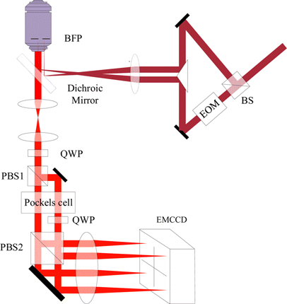 Implementation of a 4Pi-SMS super-resolution microscope