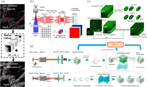 Single-cell Volumetric Imaging With Light Field Microscopy: Advances In 