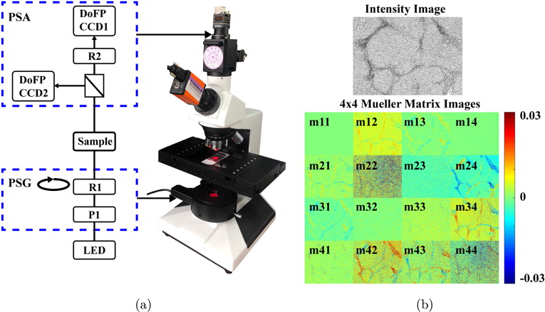 Correlation of image textures of a polarization feature parameter and ...