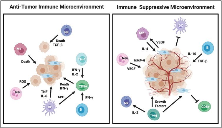 Immune modulations of the tumor microenvironment in response to ...