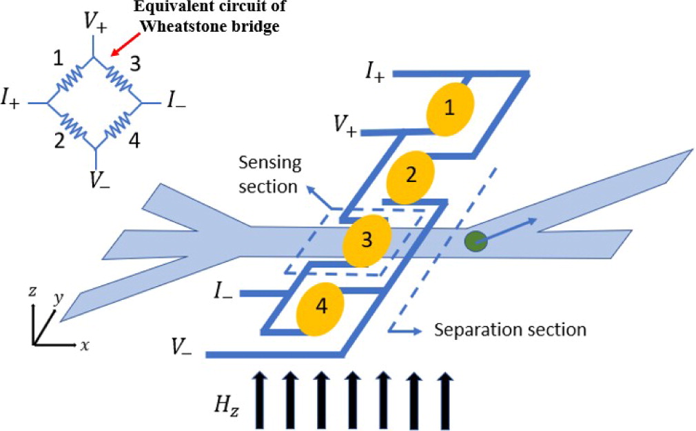 Magnetoresistive Biosensors for Direct Detection of Magnetic ...