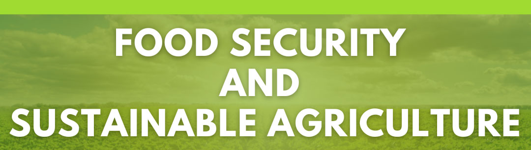 phd food security and sustainable agriculture