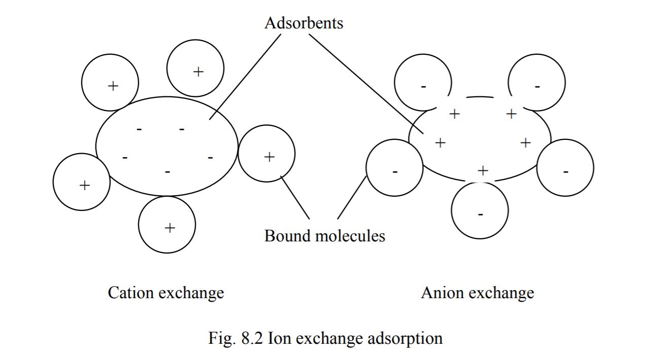 Principles Of Bioseparations Engineering - 